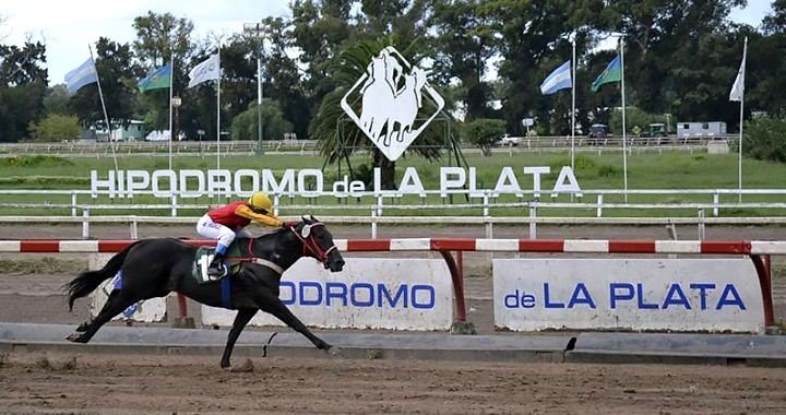 Crisis en el Hipódromo de La Plata: redujeron los premios y temen por un éxodo de propietarios