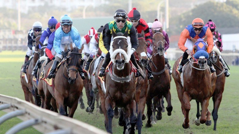 BetMakers to acquire horse racing rating systems provider Punting Form for $1.9M