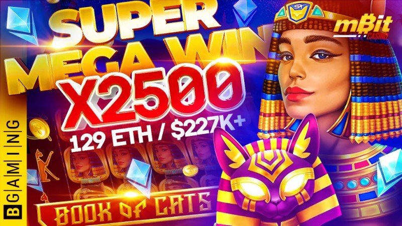 BGaming's cryptocurrency slot Book of Cats pays over $225K in 3 minutes