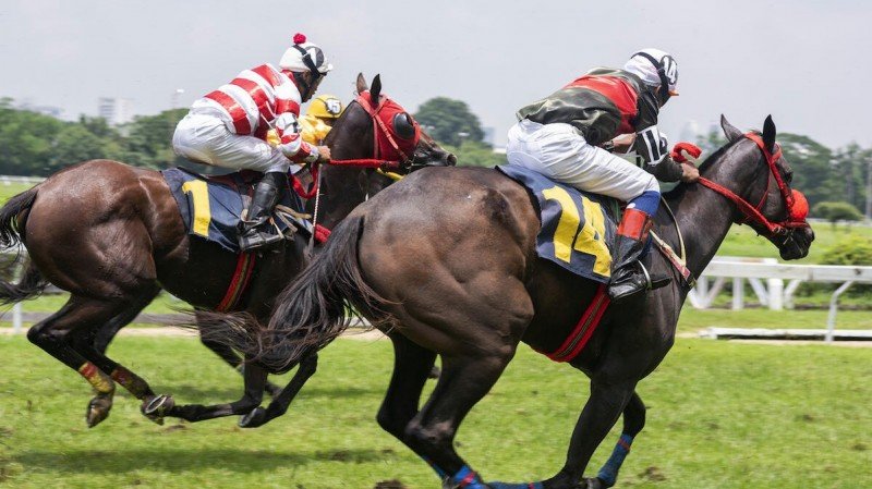 Entain incorpora contenidos de carreras de caballos en vivo para Ladbrokes y Coral hasta 2026