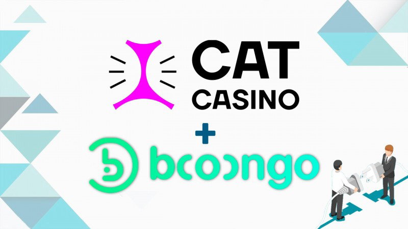 Los usuarios de CatCasino pueden acceder a los juegos de Booongo