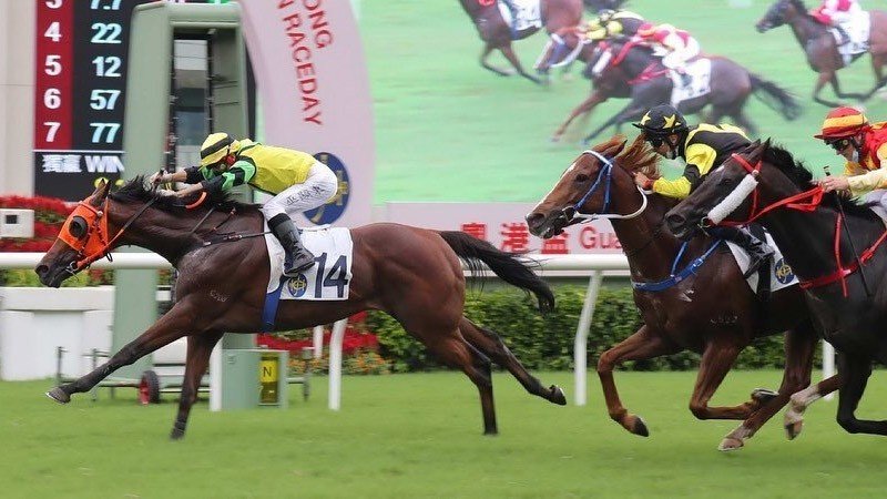Hong Kong sees all-time record turnover for horse racing betting