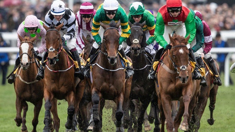 Jockey Club accused of hurting UK horse racing industry in "poorly timed" Playtech deal