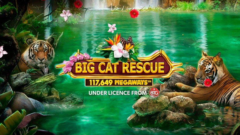 Evolution's Red Tiger releases new Tiger King's Carole Baskin-themed slot "Big Cat Rescue Megaways"