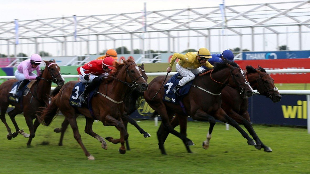 William Hill named official betting partner of the UK's Racing League