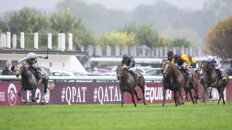 UK Tote Group partners with France's PMU to offer French racing fixtures in UK and Ireland 