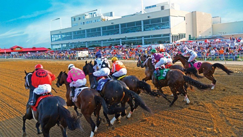 Sports Information Service to sponsor race on Iowa Classic Day at Prairie Meadows Racetrack
