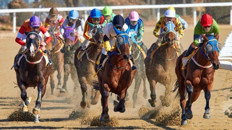 El Gobierno de Macao pone fin a las carreras de caballos tras rescindir el contrato con el único operador 