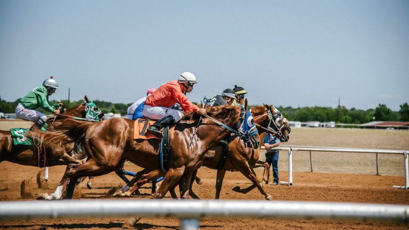 Estados Unidos: Las aplicaciones de apuestas de caballos registran un número récord de clientes nuevos